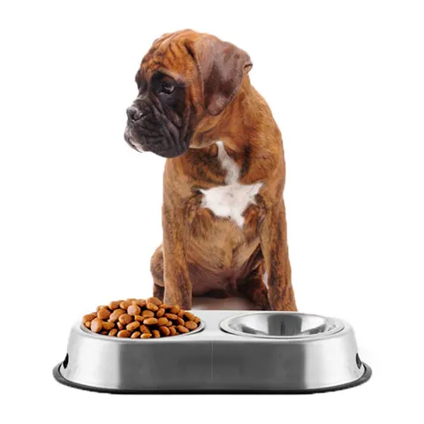 Pet Prior Food bowl – image 2