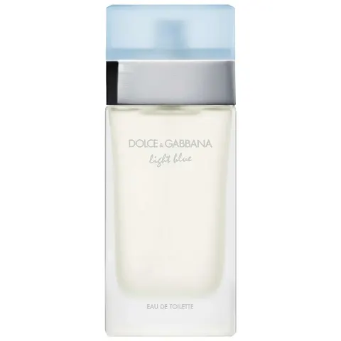 Dolce & Gabbana Light Blue Eau de Toilette 100ml – image 5
