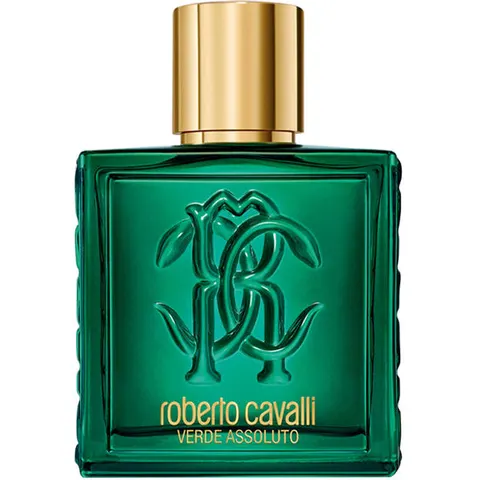 Roberto Cavalli Uomo Verde Assoluto - 100 ML – immagine 2