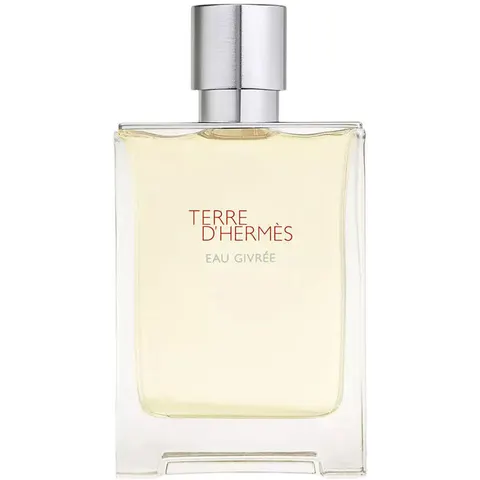 Hermès TERRE D'HERMÈS EAU GIVRÉE Eau de Parfum – trasparente 100ml – immagine 4