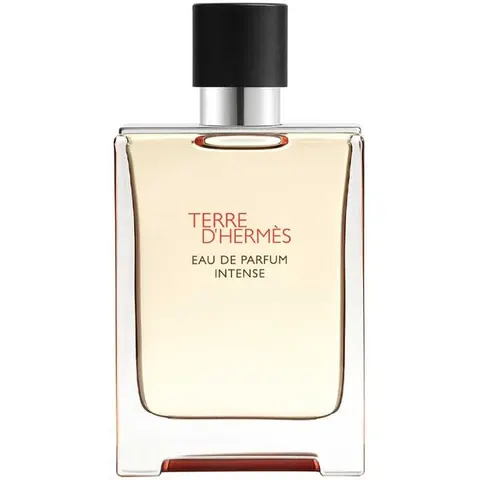 Hermès Terre D' Eau de Parfum Intense 100mL – trasparente 100ml – immagine 5