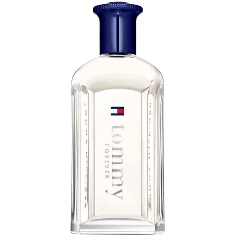 Tommy Hilfiger Tommy Forever Eau de Toilette 100ml – immagine 5