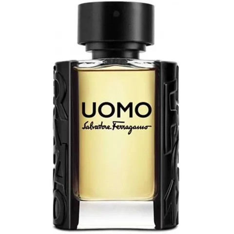 Ferragamo Uomo Eau de toilette 100ml – immagine 2