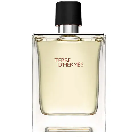 Hermés Terre d'Hermes Eau de toilette 100ml – immagine 2