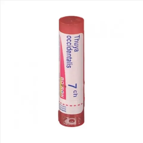 Thuya Occidentalis 7ch Granuli Multidose Boiron – immagine 3