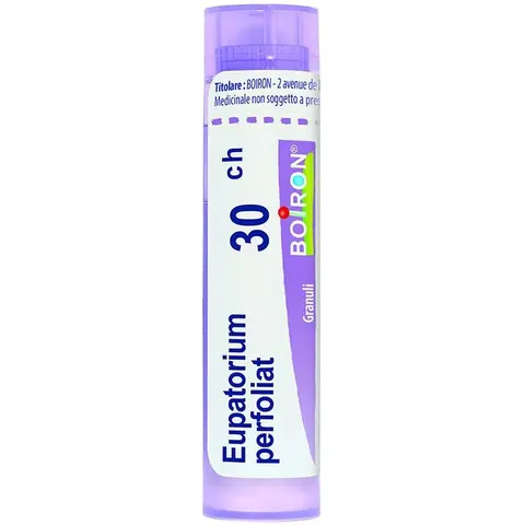 boiron Eupatorium perfoliatum 30ch – immagine 3
