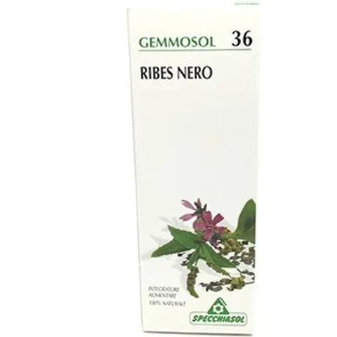 Specchiasol Ribes Nero Gemme 100ml – immagine 3