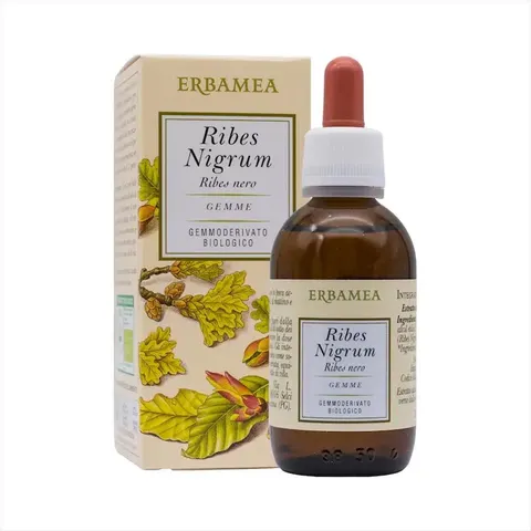 BIO + Ribes Nigrum Gemme Gemmoderivato Bio 50 Ml – immagine 3