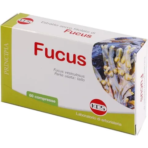 KOS Srl FUCUS ESTR SEC 60CPR – immagine 4