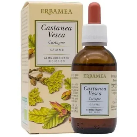 ERBAMEA Srl CASTANEA VESCA GEMME GEMMODER – immagine 4