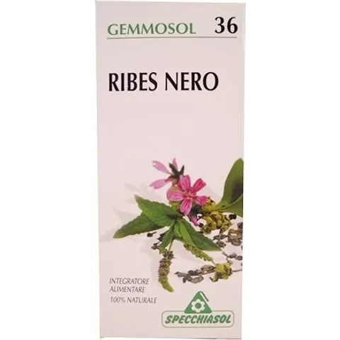 SPECCHIASOL Srl GEMMOSOL 36 RIBES NERO 50ML – immagine 2