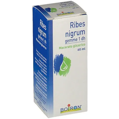 boiron Ribes nigrum gemme 60ml mg bo – immagine 3