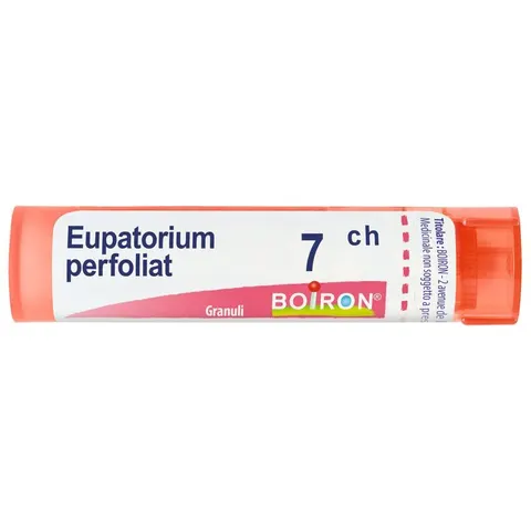 BOIRON Srl EUPATORIUM PERF.Tubo 7CH – immagine 2
