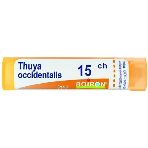 boiron Thuya occident 15ch gr bo – immagine 4