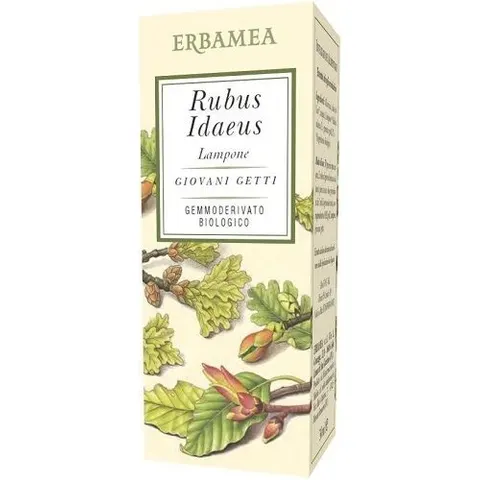 Rubus Idaeus Lampone 50ml Erbamea – immagine 4