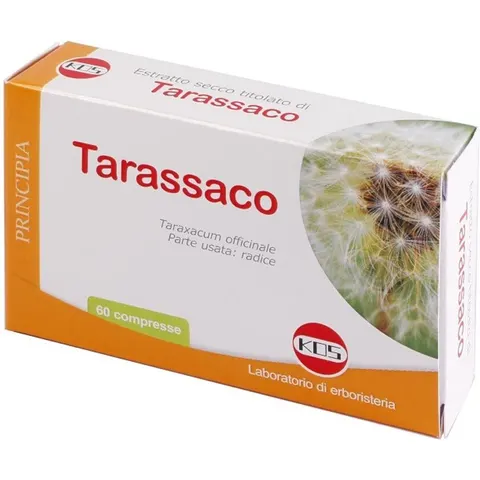 KOS Srl TARASSACO ESTR SEC 60CPR – immagine 4