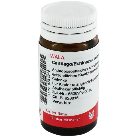 Wala Cartilago/echinacea compositus Globuli – Bild 2