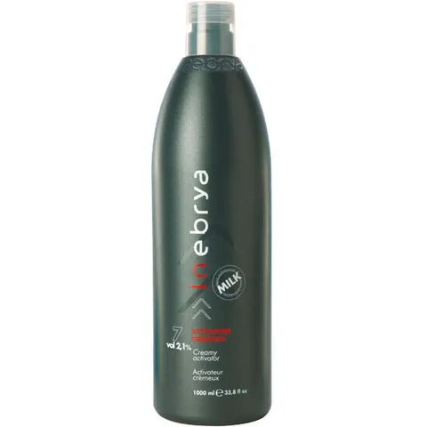 1L Inebrya Activator – 161998 – Bild 2