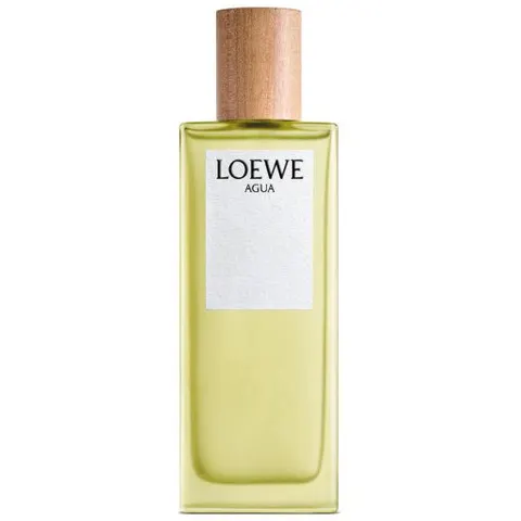 Loewe Agua Loewe 100ml EDT Spray – image 2