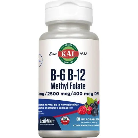 Solaray B6 B12 Methyl Folate 60 Sublingual Tablets – image 2