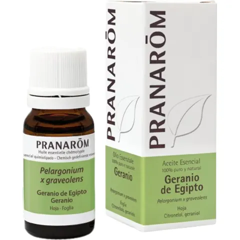 Pranarom Geranium Essential Oil from Egypt 10 ml – image 2