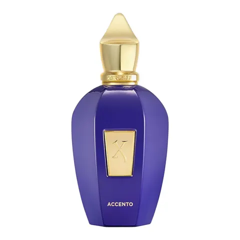 100ml XERJOFF Vibe ACCENTO Eau de Parfum – Bild 3