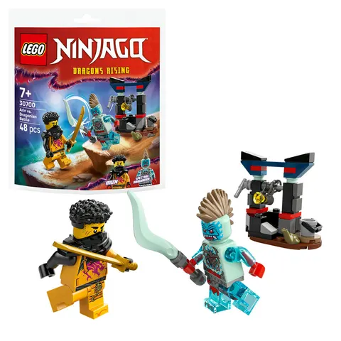 LEGO NINJAGO Arin vs. Dragonian Battle – Bild 2