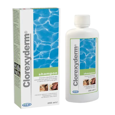 Champú Clorexyderm - 250 ml – imagen 2