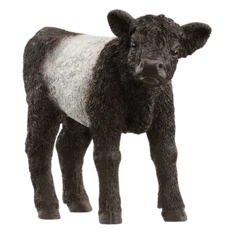 Schleich Figurina di vitello Galloway – immagine 2