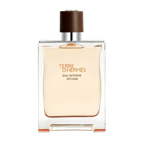 Terre D'Hermès Eau Intense Vétiver – 200ml – image 2