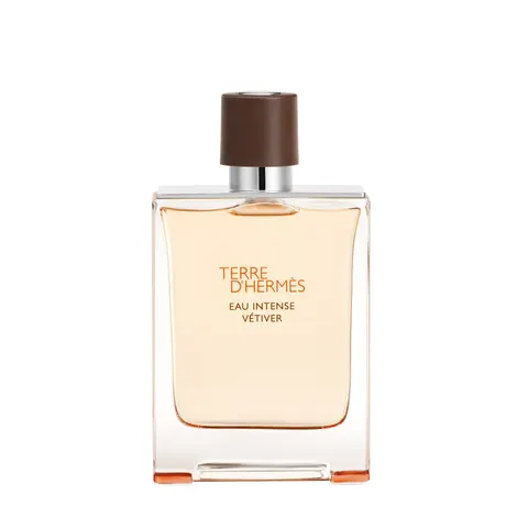 Terre D'Hermès Eau Intense Vétiver – 100ml – image 3