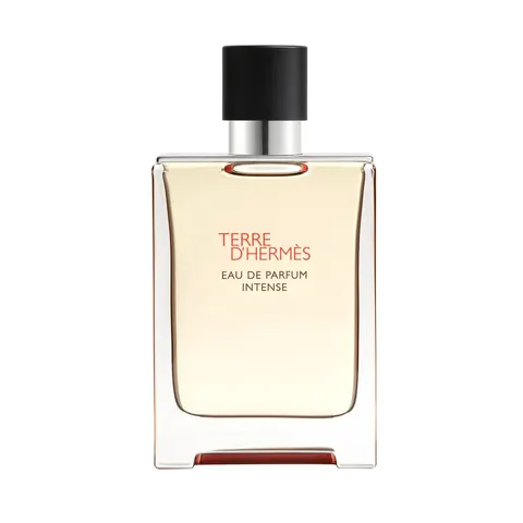 Terre d'Hermès Intense – 100ml – image 2