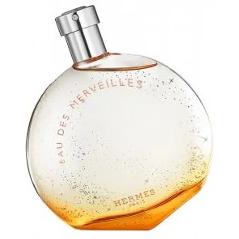 Hermès - Eau Des Merveilles - Eau De Toilette - 100ml – image 3