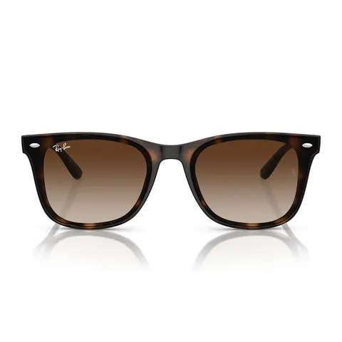 Ray-Ban 4420 (710/13) – immagine 3