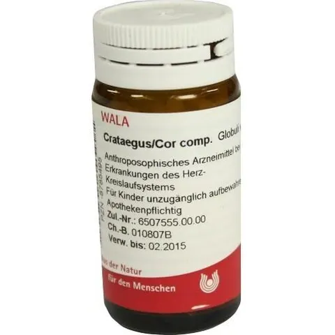 Wala Arnica E Planta tota D2 Globuli – Bild 2