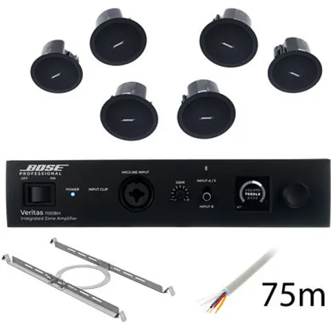 Bose Veritas 1100BH/FS2C B Bundle Negro – imagen 5