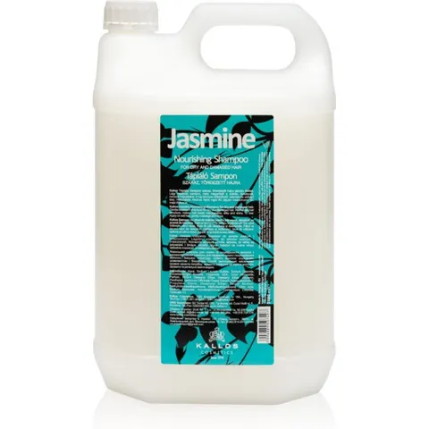 Classic Champú Para Cabello Seco Y Dañado 5000 Ml – imagen 2