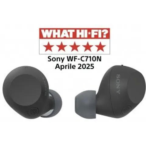 Sony WFC710NB.CE7 Negro – imagen 2