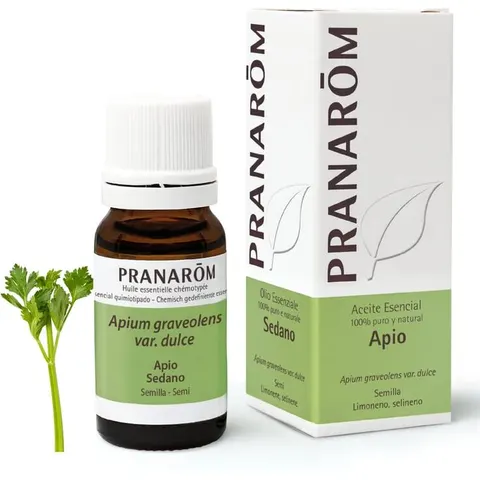 Pranarom Aceite Esencial de Apio 10 ml – imagen 2