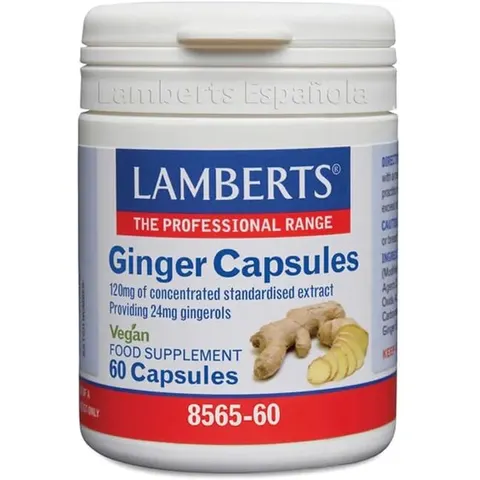 Lamberts ginger jengibre 60cap. – imagen 3