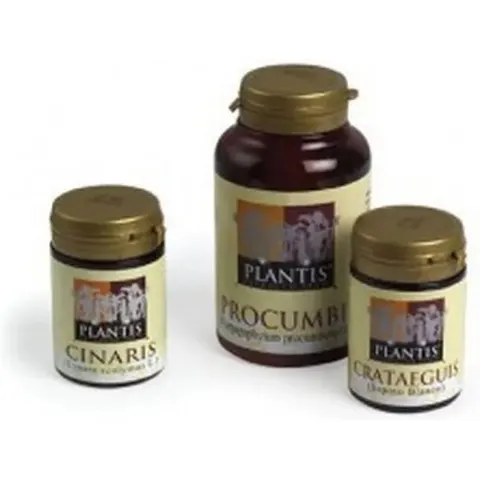 Plantis Cinaris 60 Caps – imagen 3