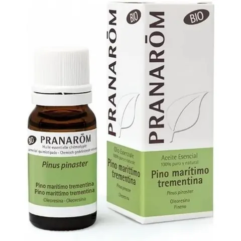 Pranarom Aceite Esencial Pino Maritimo Bio – imagen 2