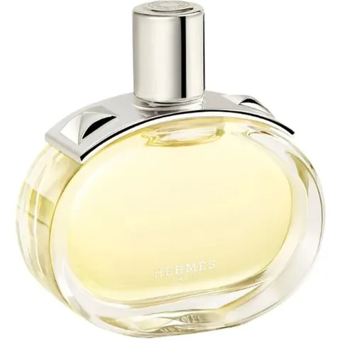 HERMÈS Barénia – imagen 2