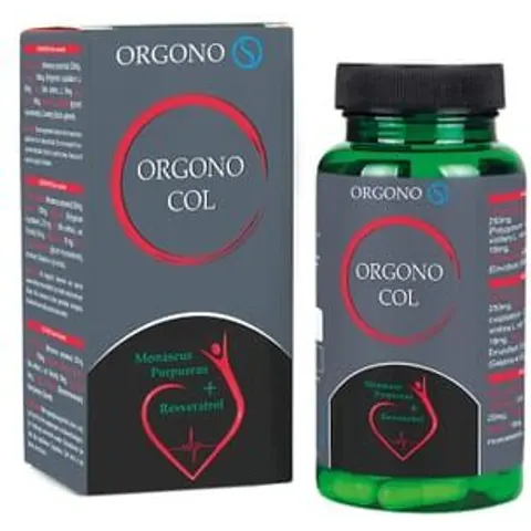 Silicium Laboratorios Orgonocol 90 Cápsulas – imagen 3
