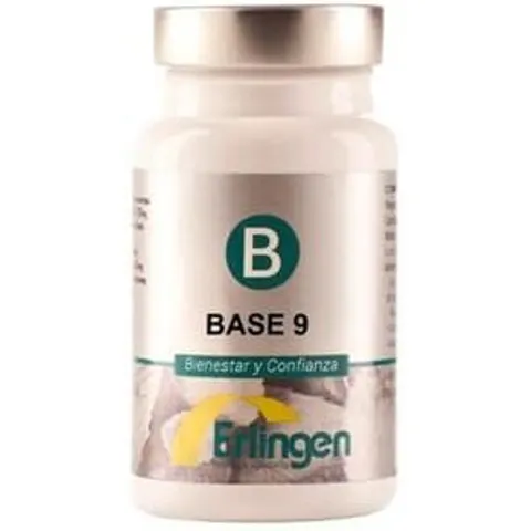Erlingen Base 09 – imagen 3