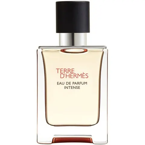 Terre d'Hermès Intense – imagen 2