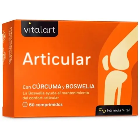 Vitalart Articular 60comp – imagen 4