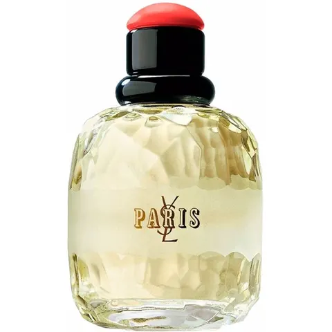 YVES SAINT LAURENT Paris – imagen 2