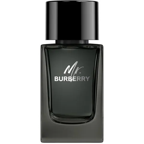 Mr Burberry 100 ml. – imagen 2