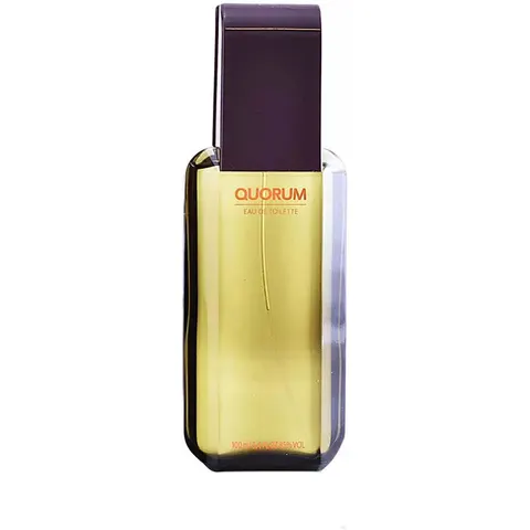 Puig eau de toilette quorum 100 ml – imagen 2